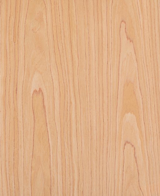 Birch-205C